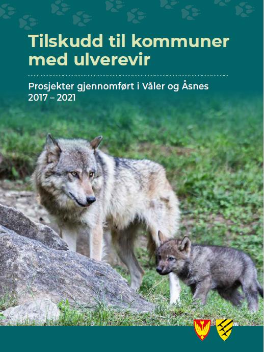 Bruk av ulvepenger i Våler og Åsnes kommuner - Klikk for stort bilde